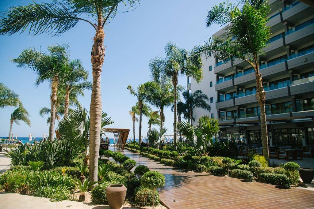 papadatos-alimounda-5