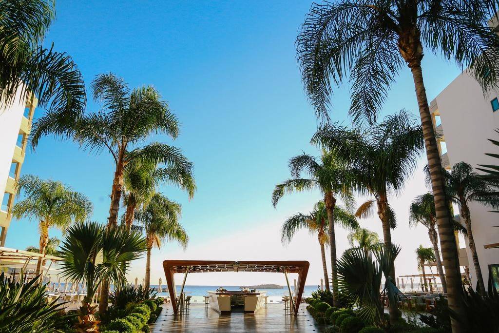 papadatos-alimounda-4