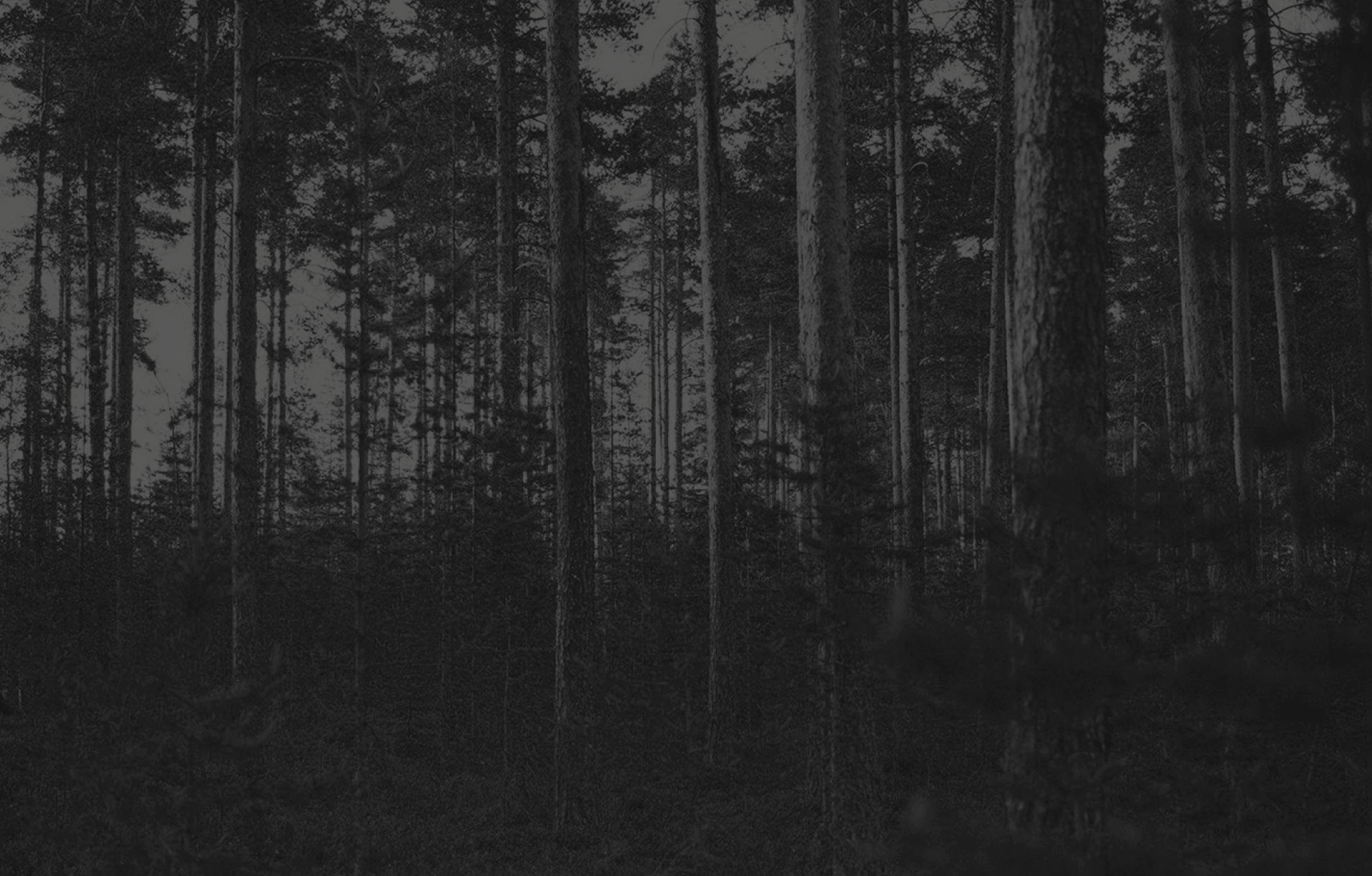 papadatos-company-manufacturing-quality-sustainability-eco-2